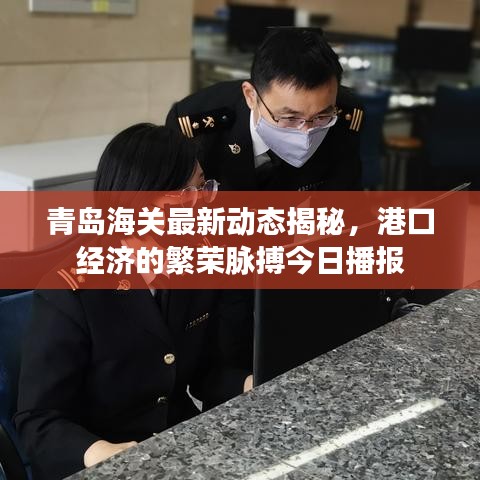 青岛海关最新动态揭秘，港口经济的繁荣脉搏今日播报