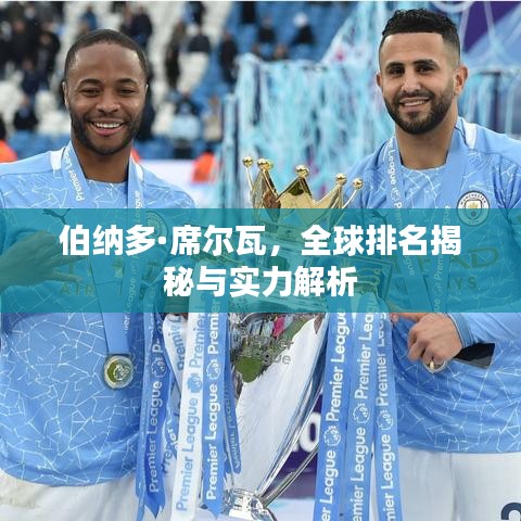 伯纳多·席尔瓦，全球排名揭秘与实力解析