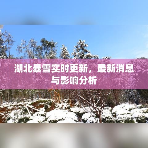 湖北暴雪实时更新，最新消息与影响分析