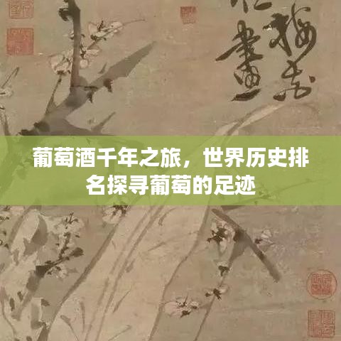 葡萄酒千年之旅，世界历史排名探寻葡萄的足迹