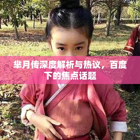 芈月传深度解析与热议，百度下的焦点话题