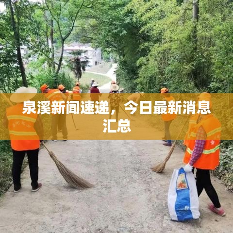 泉溪新闻速递，今日最新消息汇总