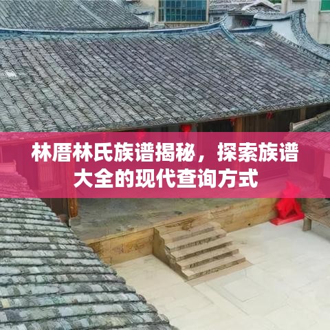 林厝林氏族谱揭秘，探索族谱大全的现代查询方式