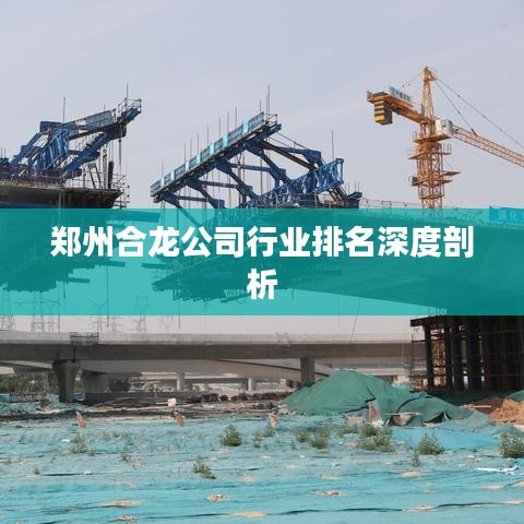 郑州合龙公司行业排名深度剖析