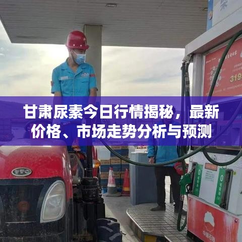 甘肃尿素今日行情揭秘，最新价格、市场走势分析与预测