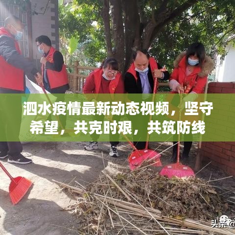 泗水疫情最新动态视频，坚守希望，共克时艰，共筑防线