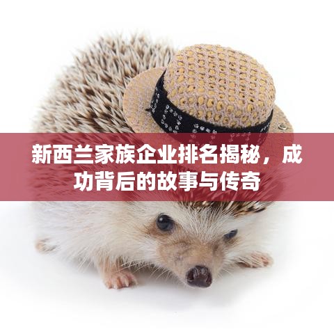 新西兰家族企业排名揭秘，成功背后的故事与传奇