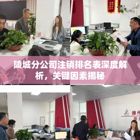 陵城分公司注销排名表深度解析，关键因素揭秘