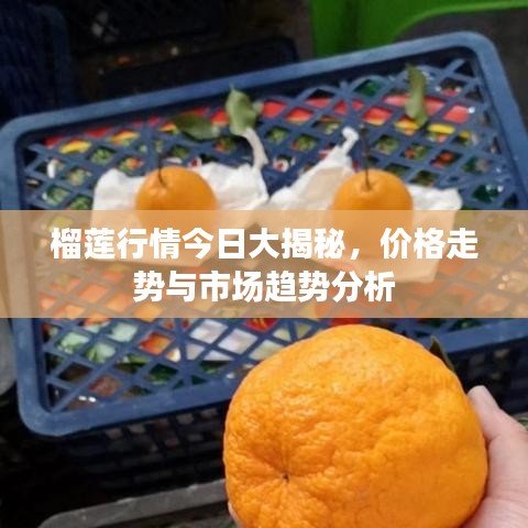 2025年5月8日 第5页