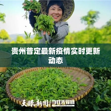 贵州普定最新疫情实时更新动态
