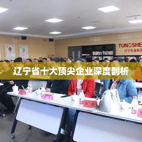 辽宁省十大顶尖企业深度剖析
