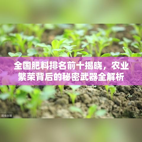 全国肥料排名前十揭晓，农业繁荣背后的秘密武器全解析