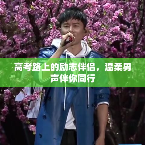 高考路上的励志伴侣，温柔男声伴你同行