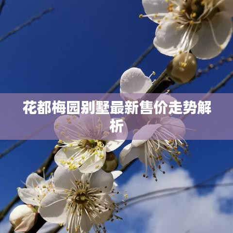 花都梅园别墅最新售价走势解析
