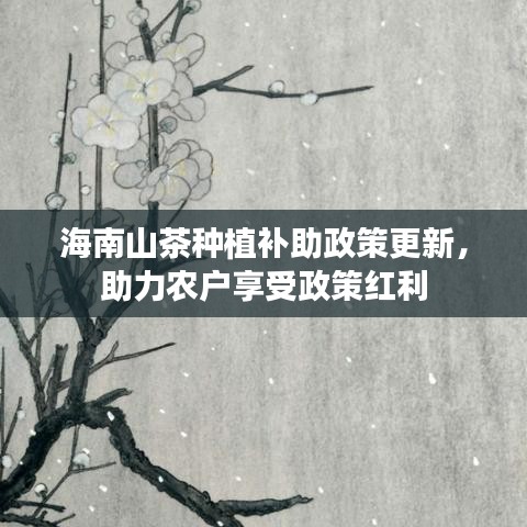 海南山茶种植补助政策更新，助力农户享受政策红利