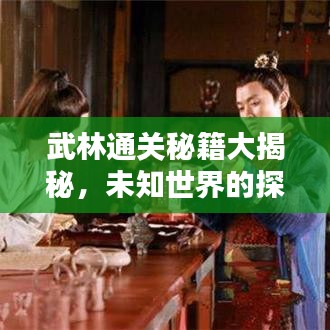武林通关秘籍大揭秘，未知世界的探险指南