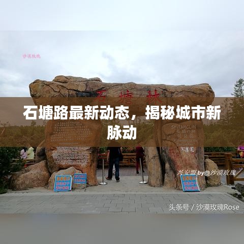 石塘路最新动态，揭秘城市新脉动