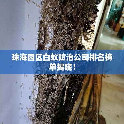 珠海园区白蚁防治公司排名榜单揭晓！
