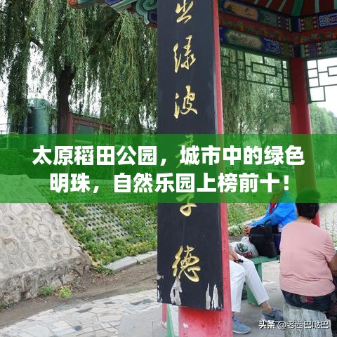 太原稻田公园，城市中的绿色明珠，自然乐园上榜前十！