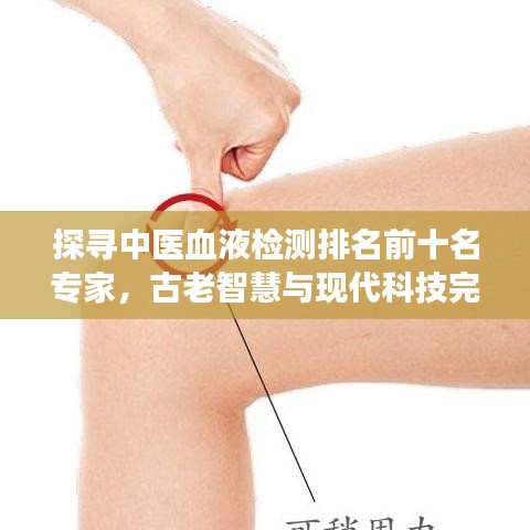 探寻中医血液检测排名前十名专家，古老智慧与现代科技完美融合之旅