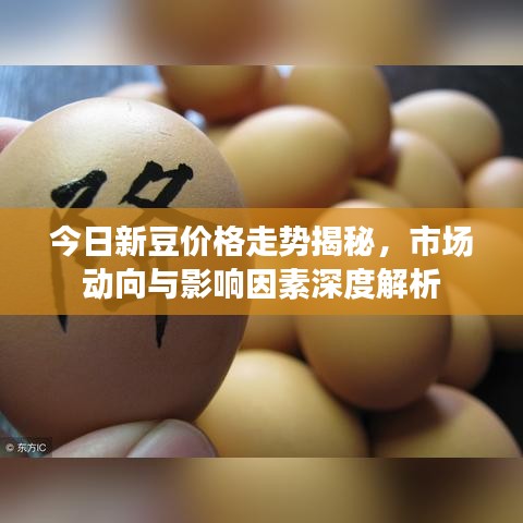 今日新豆价格走势揭秘，市场动向与影响因素深度解析