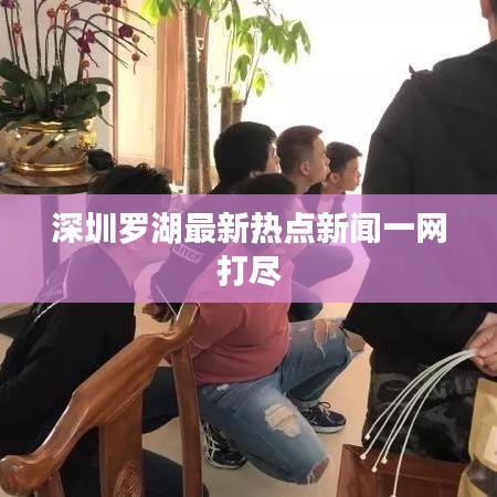 深圳罗湖最新热点新闻一网打尽