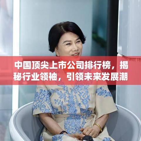 中国顶尖上市公司排行榜，揭秘行业领袖，引领未来发展潮流！