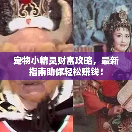 宠物小精灵财富攻略，最新指南助你轻松赚钱！