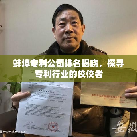 蚌埠专利公司排名揭晓，探寻专利行业的佼佼者