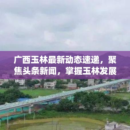 广西玉林最新动态速递，聚焦头条新闻，掌握玉林发展新动向