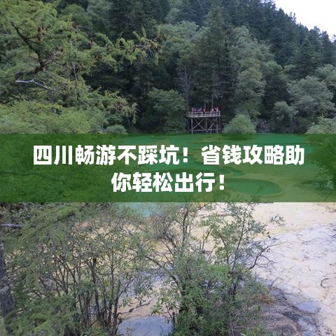 四川畅游不踩坑！省钱攻略助你轻松出行！