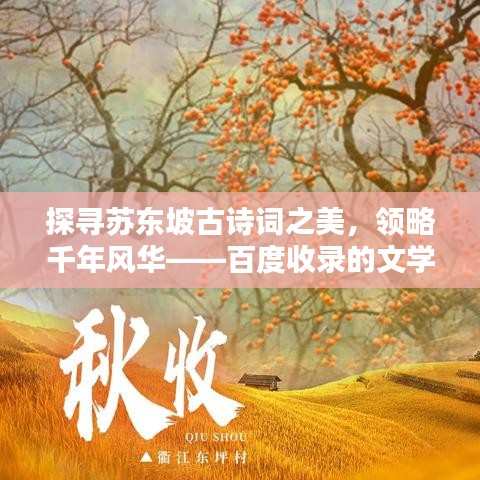 探寻苏东坡古诗词之美，领略千年风华——百度收录的文学盛宴