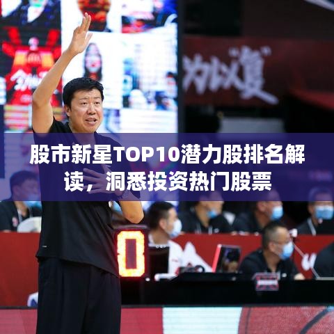股市新星TOP10潜力股排名解读，洞悉投资热门股票