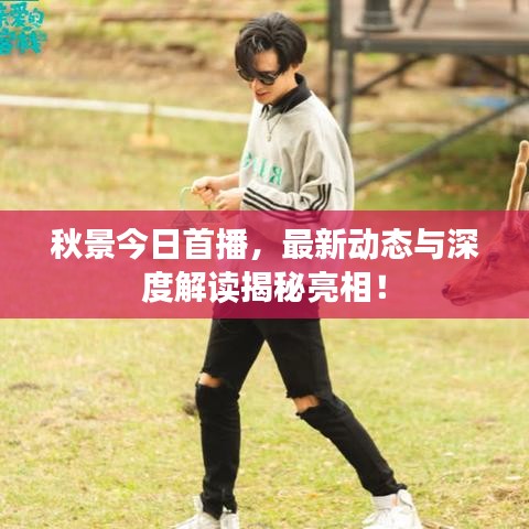 秋景今日首播，最新动态与深度解读揭秘亮相！
