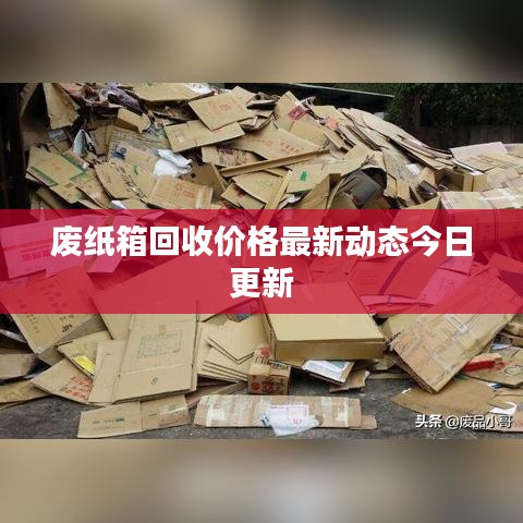 废纸箱回收价格最新动态今日更新