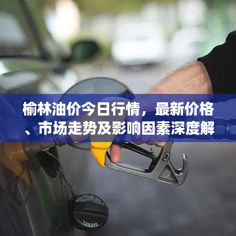 榆林油价今日行情，最新价格、市场走势及影响因素深度解析