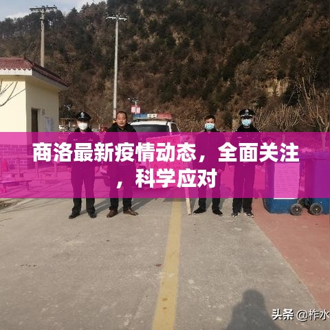 商洛最新疫情动态，全面关注，科学应对