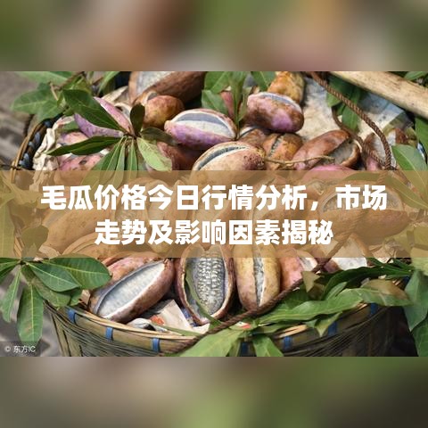 2025年5月12日 第35页