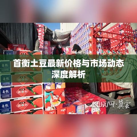 首衡土豆最新价格与市场动态深度解析