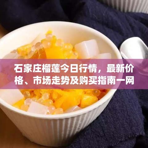2025年5月12日 第19页