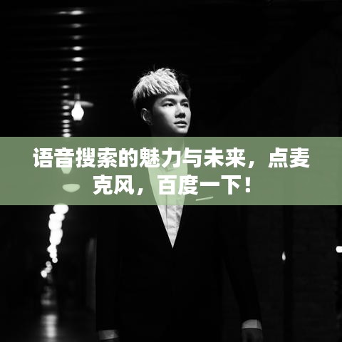 语音搜索的魅力与未来，点麦克风，百度一下！