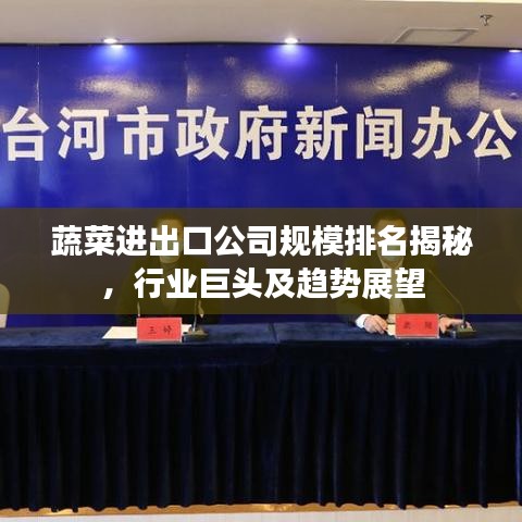 蔬菜进出口公司规模排名揭秘，行业巨头及趋势展望