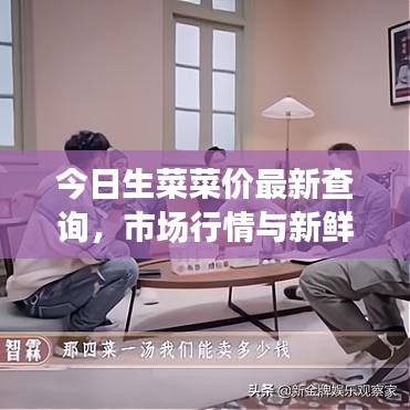 今日生菜菜价最新查询，市场行情与新鲜食材价格动态一网打尽