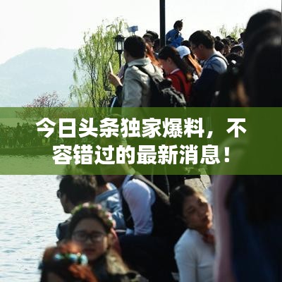 今日头条独家爆料，不容错过的最新消息！