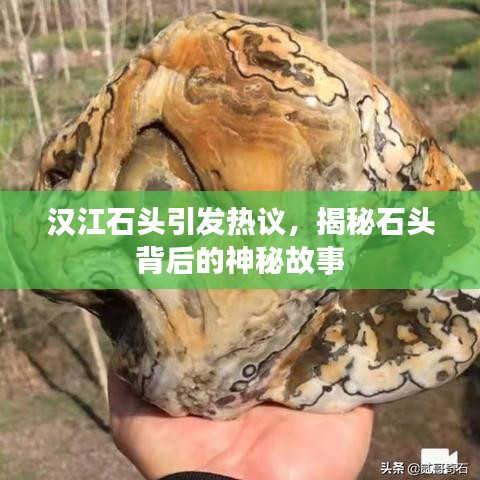 汉江石头引发热议，揭秘石头背后的神秘故事