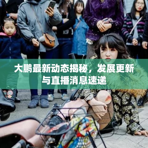 大鹏最新动态揭秘，发展更新与直播消息速递