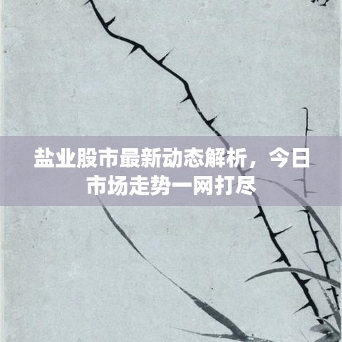盐业股市最新动态解析，今日市场走势一网打尽