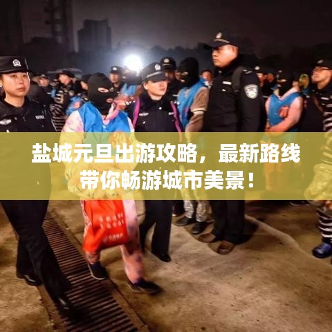 盐城元旦出游攻略，最新路线带你畅游城市美景！