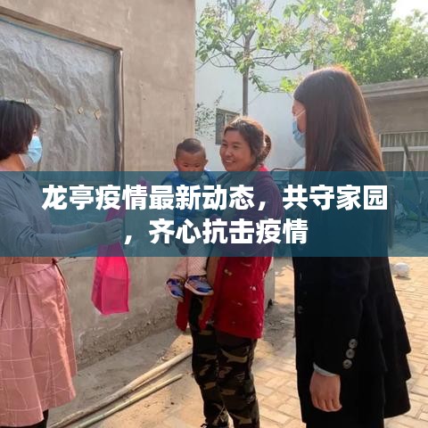 龙亭疫情最新动态，共守家园，齐心抗击疫情