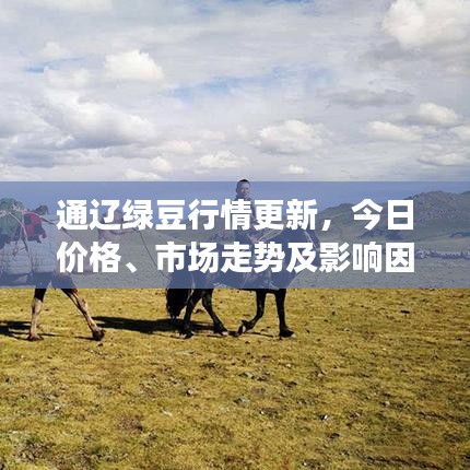 通辽绿豆行情更新，今日价格、市场走势及影响因素全解析